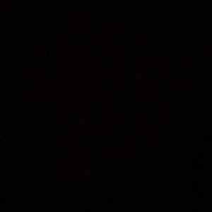 Meet your Posher, Travis